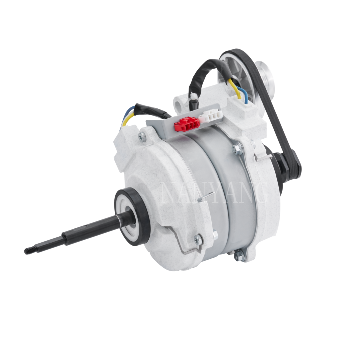 Clothes dryer motor2
