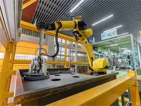 Fully automatic feeding machine2