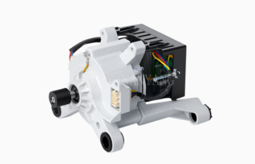 BLDC Motor